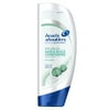 Head and Shoulders Itchy Scalp Care with Eucalyptus Conditioner 13.5 Fl Oz