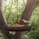thumbnail image 3 of CHAO Wildlife Friend Comedero para pájaros colgante - Comedero para pájaros al aire libre - Diámetro: 18 cm - Columna de alimentación para pájaros colgante de metal para comida para pájaros., 3 of 5