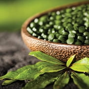 Sun Chlorella - Dietary Chlorella Supplement A 200 mg. - 1500 Tablets