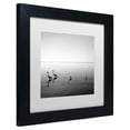thumbnail image 3 of Trademark Fine Art "4 Herons" Canvas Art by Moises Levy White Matte, Black Frame, 3 of 5