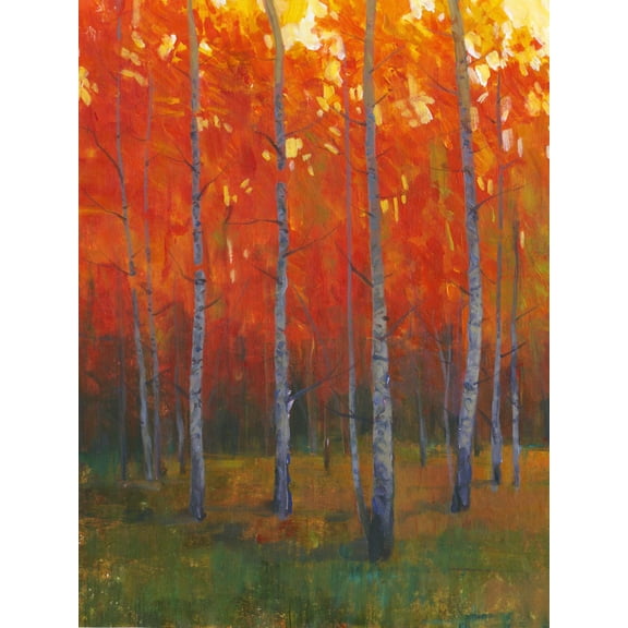 Art.com Changing Colors II Art Print by Tim O'toole, 12" x 16"