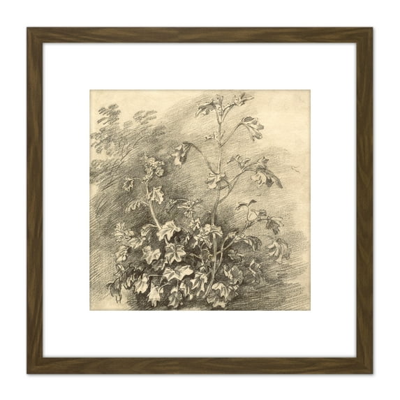 Gainsborough Study Of Mallows 1750S Painting 8X8 Inch Square Wooden Framed Wall Art Print Picture with Mount