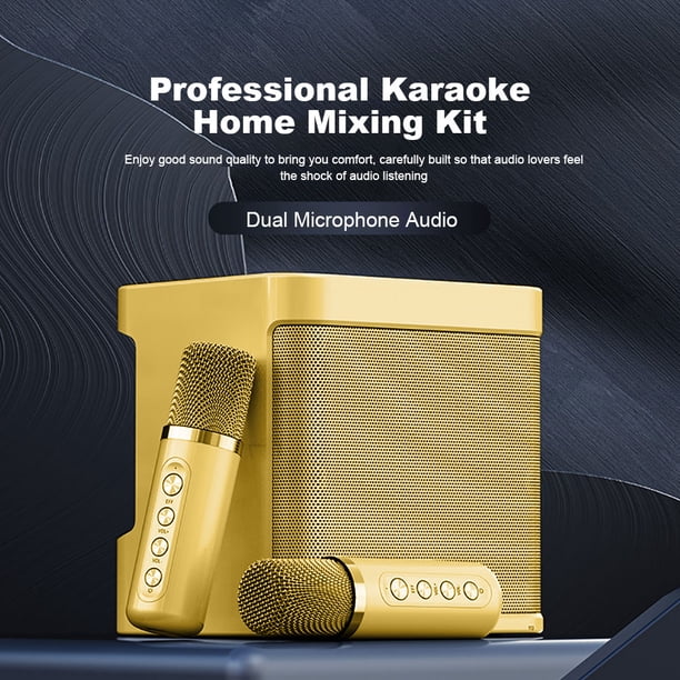 Altavoz De Karaoke Altavoz compatible con Bluetooth de micrófono dual de karaoke profesional portátil de 100 W