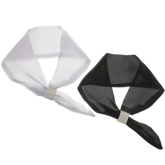 SILENRADAWN 2Pcs Solid Colored Imitation Silk Neck Scarf for Women Versatile Lady Neckerchief 11.8X4.3X4.7in