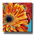 thumbnail image 1 of Epic Graffiti 'Color Bursts II' by Carolee Vitaletti, Canvas Wall Art, 12"x12", 1 of 3