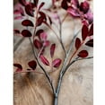 thumbnail image 5 of Red Tzu Tan Leaf Stem 42" Tall, 5 of 7