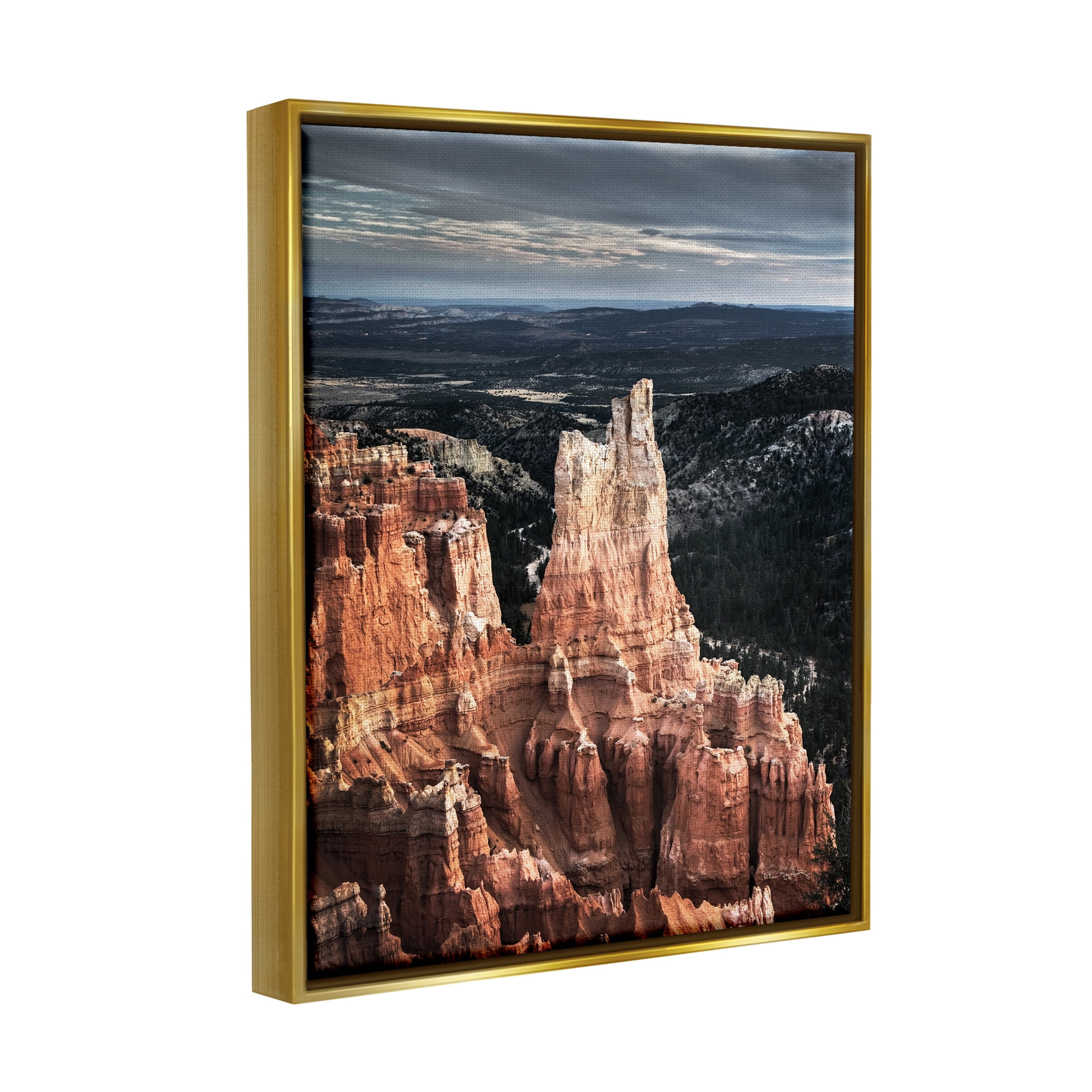 Stupell Industries Canyon Butte Photography Landscape Photography Gold Floater Framed Canvas Art Print Wall Art, 25 x 31