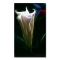 thumbnail image 2 of Trademark Fine Art Kathie Mccurdy Moonflower Bud Canvas Wall Art - 18x32, 2 of 2