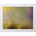 thumbnail image 1 of Westum, Heidi 32x25 White Modern Wood Framed Museum Art Print Titled - Feeling of a new day, 1 of 4