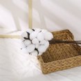 thumbnail image 4 of WIZUTIZ Artificial Cotton Flower Natural Dried Plant For Home Decoration Wedding Centerpiece Table Arrangement Floral Display Household Items for New Apartment House Warming Gifts New Home, 4 of 5
