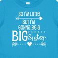 thumbnail image 4 of Inktastic So I'm Little, but I'm Gonna Be a Big Sister Girls Baby T-Shirt, 4 of 5