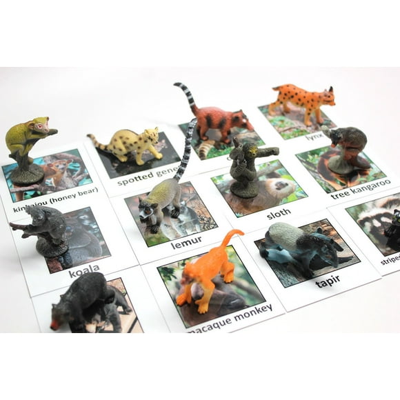 Montessori Rainforest Animal Match - Miniature Rain forest Animals with Matching Cards - 2 Part Cards. Montessori Learning Toy Language Materials