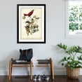 thumbnail image 3 of Art.com Summer Red Bird Art Print by John James Audubon, Black Frame Wall Art, 32" x 44", 3 of 5