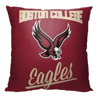 Philadelphia Eagles 18'' x 18'' Wordmark Decorative Throw Pillow