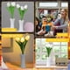 thumbnail image 5 of Lámpara de mesa de tulipán Luz LED de mesita de noche segura para decoración de café (A) Ndcxsfigh Para estrenar, 5 of 9