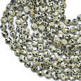 thumbnail image 3 of Natural Dalmatian Jasper Beads Strands with Seed Beads Faceted Coin Beads Flat Round 6~7x4mm Hole: 1mm 50pcs/strand 15.35''(39cm), 3 of 3