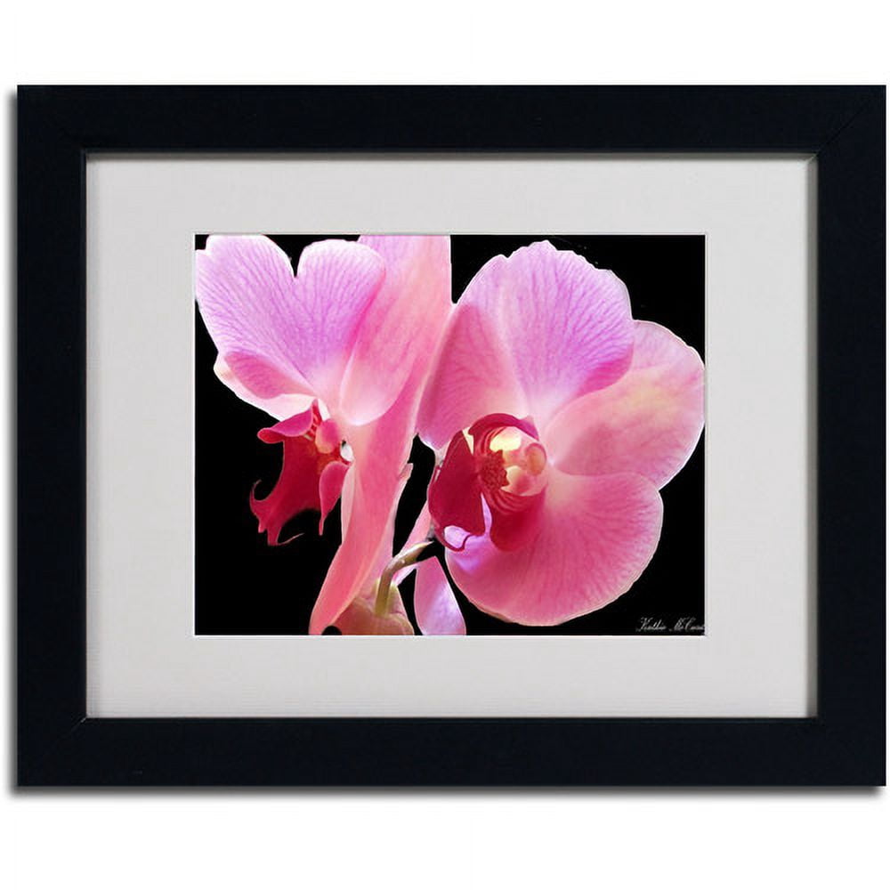 Trademark Art 'Orchid' Matted Framed Art by Kathie McCurdy