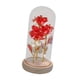 thumbnail image 5 of Rosa romántica de amor con flor preservada en cúpula de cristal para mamá, regalo de San Valentín Rojo, 5 of 9
