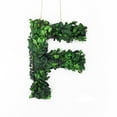 thumbnail image 1 of Modern Home 12" Real Preserved Boxwood Monogram Wreath Letters - F, 1 of 2