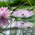 thumbnail image 2 of 1 Set Solar Fountain Floating Landscaping Outdoor Waterscape Garden Lotus-style Fountain, 2 of 8