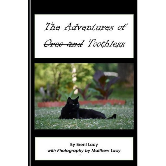 The Adventures of Toothless, (Paperback)