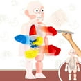thumbnail image 4 of Juguete De Anatomía Del Cuerpo Humano, 9.4in Modelo De Cuerpo Humano Human Eco Amigable Para La Escuela, 4 of 8
