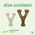 thumbnail image 5 of Benebone Essentials Wishbone Bacon M/L, 5 of 6