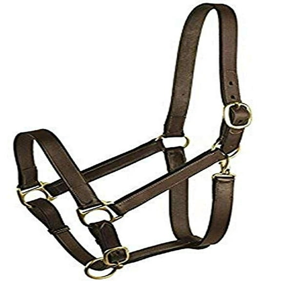 Cabestro estable Gatsby Leather 282960 Havanna Brown Yearling