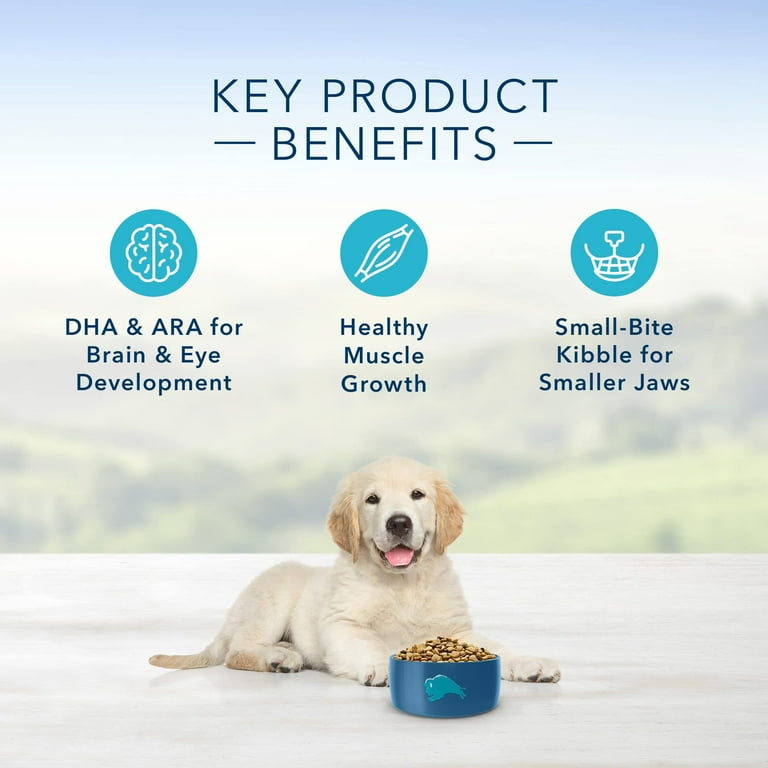 Walmart blue store buffalo puppy