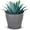 Slate Grey, variant on Headwind Natural Ironstone Timberline Collection - 6" Slate Grey Decorative Planter for Outdoor Pots for Plants – Modern Indoor Plant Pots, Large & Small Planters for Indoor Plants by Robert Allen