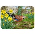 thumbnail image 1 of Carolines Treasures ASA2176LCB Jay Glass Large Cutting Board, 1 of 2