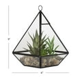 thumbnail image 3 of DesignOvation Terrarium de table en verre de 22,8&nbsp;cm de haut avec trio de succulentes artificielles, 3 of 8