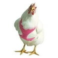thumbnail image 2 of Valhoma Pet Chicken Harness and/or Leash Bright Fun Colors Pet Duck Goose, 2 of 9