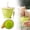 Green, variant on Dusknt Camping Tumbler | Reusable Tableware | Dishwasher Resistant Water Cup | Drinking Water for Outdoor Activities and Camping, Hiking Trips, Camping, Backpacking, Picnics, for Women