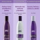 thumbnail image 2 of Matizador Violeta + Sellador + Acondicionador Sin Sal Jayli 320 ml, 2 of 2