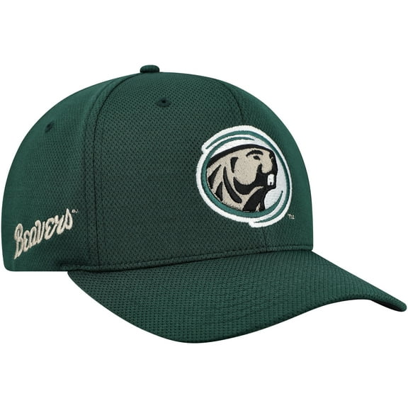 Men's-Top of the World  Green Bemidji State Beavers Reflex Performance Flex Hat