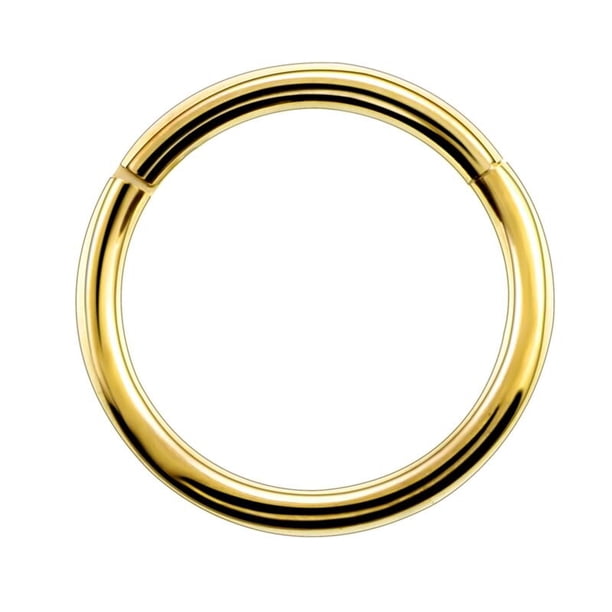 1PC G23 Anillo de nariz de segmento con bisagras de titanio 16gamp; 14g Clicker de pezón Oreja Cartílago Tragus Helix Piercing de labio Joyería de moda unisex Tan Jianjun unisex