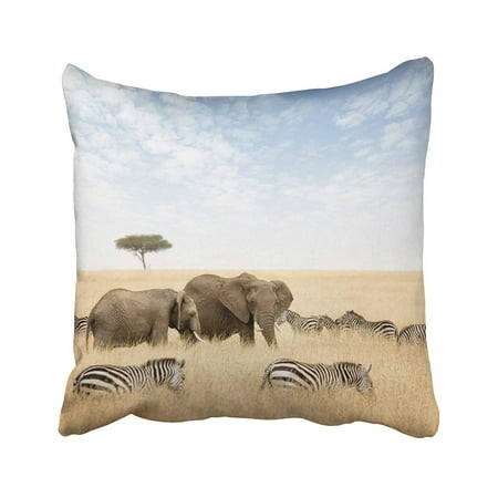 WOPOP Adult And Young Elephant With Zebras And Lone Acacia Tree In The Red Oat Grass Pillowcase Pillow Cushion Cover 16x16 inches