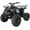 Black, variant on RPS 125cc ATV Rider 8 Big Tire