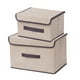 thumbnail image 1 of Caja para guardar ropa con 2 tapas con bisagras. ER, 1 of 5