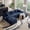 Blue, variant on MOONMISS Small Modular Sectional Sofa with Movable Chaise and Ottoman,U-Shaped Boneless Cloud Couch for Living Room Apartment,Black(Right Facing Chaise)