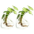 thumbnail image 1 of 2PCS Wall Hanging Glass Plant Terrarium Container Heart Shape Perfect for Propagating Hydroponic Plants Home Garden Decoration Wedding, 1 of 5
