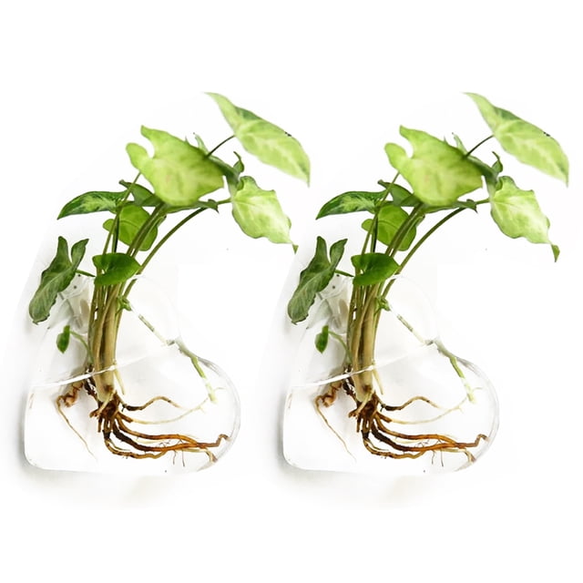 2PCS Wall Hanging Glass Plant Terrarium Container Heart Shape Perfect for Propagating Hydroponic Plants Home Garden Decoration Wedding