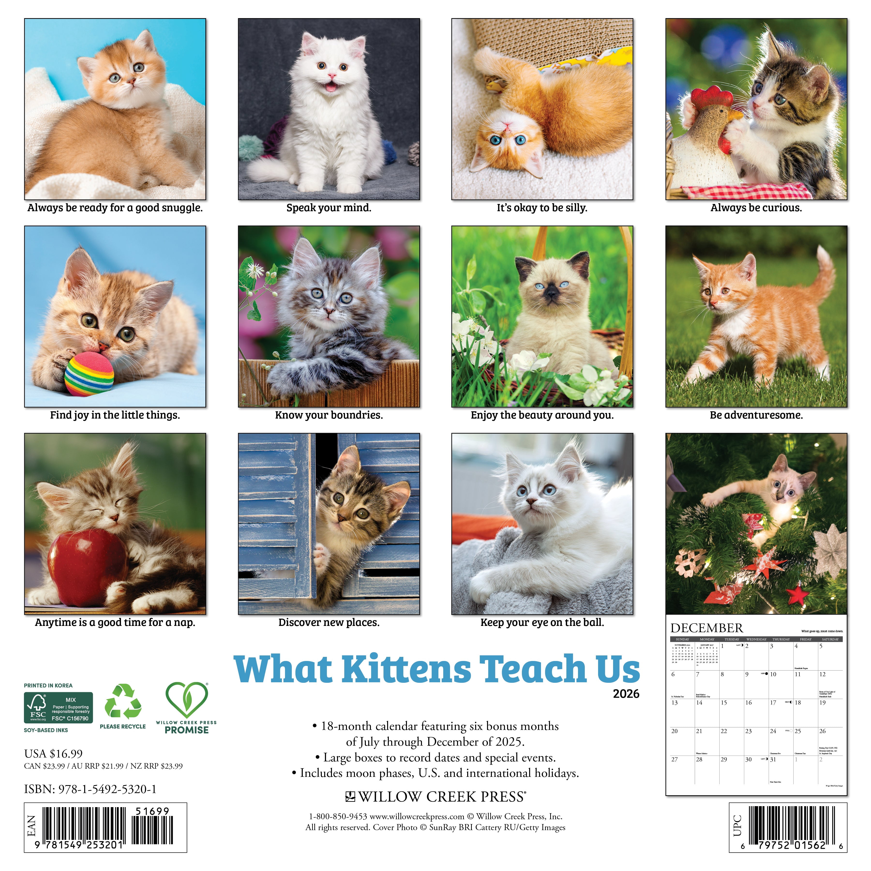 What Kittens Teach Us 2026 Wall Calendar