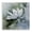 Lotus Bloom Serenity, variant on Stupell Industries French Country Love That Gives Bouquet Black Floating Frame Canvas Art, 18 x 18, by Jeanette Vertentes
