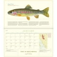 thumbnail image 3 of Trout of North America Wall Calendar 2020 (Other), 3 of 5