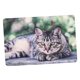 thumbnail image 5 of Estera plegable de doble capa para gatos Yuyangstore impermeable Colchoneta para perros, 5 of 7