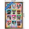 thumbnail image 2 of Keith Kimberlin - Chiots - Lunettes de soleil, 2 of 4