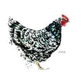 thumbnail image 1 of Journal: Java Hen, 1 of 1