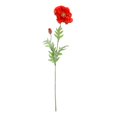 thumbnail image 1 of Vickerman FD180203 Vaporisateur Coquelicot Rouge 28 Po., 1 of 3